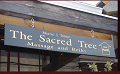 Sacred Tree Massage & Reiki